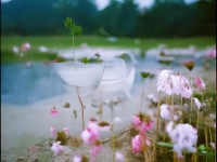 誅神黃昏，神話冒險(xiǎn)的極致探索，你準(zhǔn)備好了嗎？