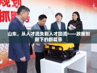 山東，從人才流失到人才回流——政策創(chuàng)新下的新篇章