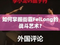 如何掌握街霸FeiLong的戰(zhàn)斗藝術(shù)？