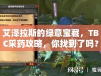 艾澤拉斯的綠意寶藏，TBC采藥攻略，你找到了嗎？