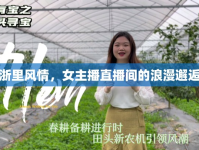 浙里風(fēng)情，女主播直播間的浪漫邂逅