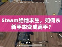 Steam絕地求生，如何從新手蛻變成高手？