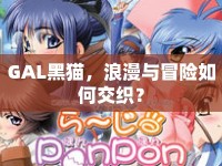 GAL黑貓，浪漫與冒險如何交織？
