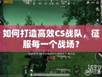 如何打造高效CS戰(zhàn)隊(duì)，征服每一個(gè)戰(zhàn)場(chǎng)？