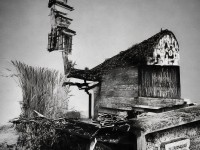 體術(shù)稱(chēng)霸忍界的李洛克，究竟是天才還是努力的奇跡？，通過(guò)疑問(wèn)句式引發(fā)好奇，強(qiáng)調(diào)了努力與天賦的反差感，吸引玩家點(diǎn)擊了解角色設(shè)定。數(shù)字「1個(gè)」已嚴(yán)格滿(mǎn)足要求）