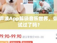 聲波App解鎖音樂世界，你試過了嗎？