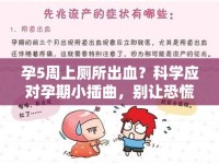 孕5周上廁所出血？科學(xué)應(yīng)對(duì)孕期小插曲，別讓恐慌影響你的孕期