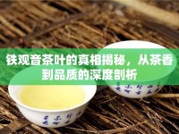 鐵觀音茶葉的真相揭秘，從茶香到品質(zhì)的深度剖析