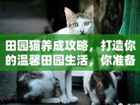 田園貓養(yǎng)成攻略，打造你的溫馨田園生活，你準備好了嗎？