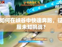 如何在峽谷中快速奔跑，征服未知挑戰(zhàn)？