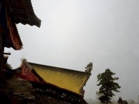 神武手游裝備屬性如何換算？你了解這些技巧嗎？