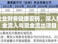 解鎖企業(yè)財務(wù)健康密碼，深入解析現(xiàn)金流入與現(xiàn)金流出項目