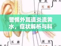 警惕外耳道炎流黃水，癥狀解析與科學應對策略