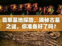 翡翠墓地探險(xiǎn)，揭秘古墓之謎，你準(zhǔn)備好了嗎？