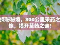 探秘秘境，800公里采藥之旅，揭開草藥之謎！