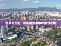 葫蘆島龍崗，新發(fā)展浪潮中的活力之地