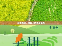 河南春耕，田野上的生動(dòng)畫卷