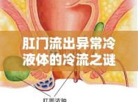肛門流出異常冷液體的冷流之謎，探秘與解析
