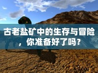 古老鹽礦中的生存與冒險，你準備好了嗎？