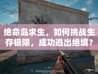 絕命島求生，如何挑戰(zhàn)生存極限，成功逃出絕境？