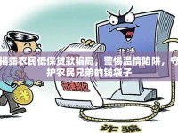 揭露農(nóng)民低保貸款騙局，警惕溫情陷阱，守護農(nóng)民兄弟的錢袋子