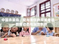 中國棄嬰島，愛與責任的雙重考驗——最新動態(tài)與深度剖析