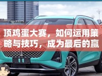 頂雞蛋大賽，如何運用策略與技巧，成為最后的贏家？