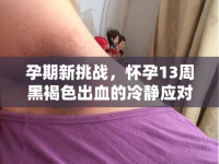 孕期新挑戰(zhàn)，懷孕13周黑褐色出血的冷靜應(yīng)對與科學(xué)指南