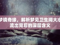 夢境奇緣，解析夢見衛(wèi)生間大水流出背后的深層含義