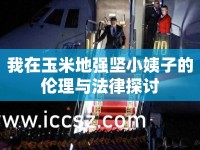 我在玉米地強堅小姨子的倫理與法律探討