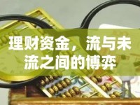 理財(cái)資金，流與未流之間的博弈