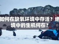 如何在缺氧環(huán)境中存活？絕境中的生機何在？