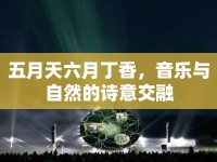 五月天六月丁香，音樂與自然的詩意交融