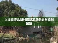 上海奉賢北新村最新發(fā)展動(dòng)態(tài)與規(guī)劃展望