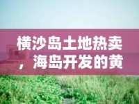 橫沙島土地?zé)豳u，海島開(kāi)發(fā)的黃金機(jī)遇與未來(lái)展望