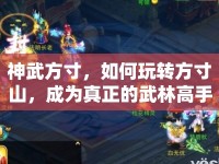 神武方寸，如何玩轉(zhuǎn)方寸山，成為真正的武林高手？