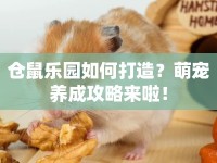 倉(cāng)鼠樂(lè)園如何打造？萌寵養(yǎng)成攻略來(lái)啦！
