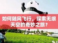 如何隨風(fēng)飛行，探索無垠天空的奇妙之旅？