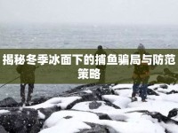 揭秘冬季冰面下的捕魚騙局與防范策略