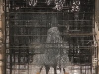 如何打造最強(qiáng)佛門戰(zhàn)士？揭秘仙劍情緣手游少林加點(diǎn)攻略！