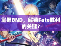 掌握BND，解鎖Fate勝利的關鍵？