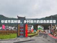 忻城市高林鎮(zhèn)，鄉(xiāng)村振興的綠色新篇章