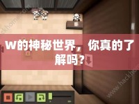 W的神秘世界，你真的了解嗎？