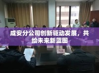 咸安分公司創(chuàng)新驅動發(fā)展，共繪未來新藍圖