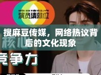 搜麻豆傳媒，網(wǎng)絡(luò)熱議背后的文化現(xiàn)象