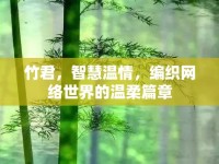 竹君，智慧溫情，編織網(wǎng)絡(luò)世界的溫柔篇章