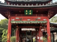 好吊妞的獨(dú)特魅力究竟在哪里？全方位解析讓你大開(kāi)眼界！