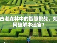 古老森林中的智慧挑戰(zhàn)，如何破解木迷宮？