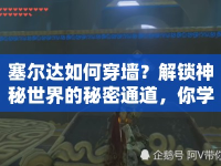 塞爾達(dá)如何穿墻？解鎖神秘世界的秘密通道，你學(xué)會(huì)了嗎？