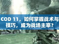 COD 11，如何掌握戰(zhàn)術(shù)與技巧，成為戰(zhàn)場主宰？